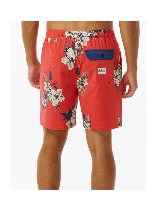 Boardshorty surfingowe męskie RIP CURL Aloha Hotel Volley czerwony - Adventure Sports
Boardshorty surfingowe męskie RIP CURL Aloha Hotel Volley czerwony - Adventure Sports