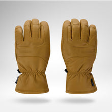 Rękawice narciarskie ROSSIGNOL Full Leather Ski Gloves R-Shel brązowe
Rękawice narciarskie ROSSIGNOL Full Leather Ski Gloves R-Shel brązowe