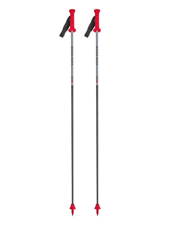 Kije narciarskie VAN DEER RACE GS CARBON kolor szary
Kije narciarskie VAN DEER RACE GS CARBON kolor szary