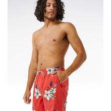 Boardshorty surfingowe męskie RIP CURL Aloha Hotel Volley czerwony - Adventure Sports
Boardshorty surfingowe męskie RIP CURL Aloha Hotel Volley czerwony - Adventure Sports