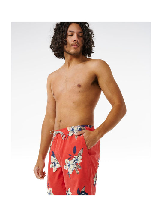 Boardshorty surfingowe męskie RIP CURL Aloha Hotel Volley czerwony - Adventure Sports
Boardshorty surfingowe męskie RIP CURL Aloha Hotel Volley czerwony - Adventure Sports