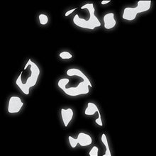 Naklejki odblaskowe BOOKMAN Reflective Leopard Print biały
Naklejki odblaskowe BOOKMAN Reflective Leopard Print biały