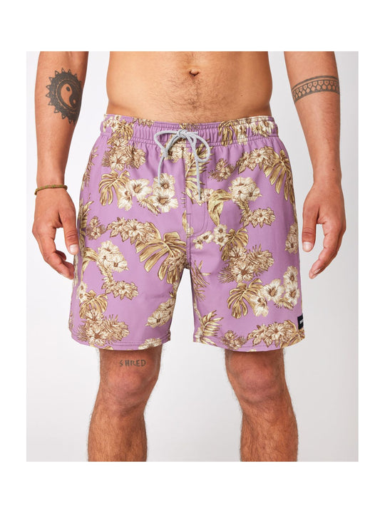 Boardshorty RIP CURL New Yargade Volley fioletowy - Adventure Sports
Boardshorty RIP CURL New Yargade Volley fioletowy - Adventure Sports