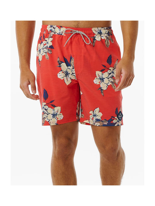 Boardshorty surfingowe męskie RIP CURL Aloha Hotel Volley czerwony - Adventure Sports
Boardshorty surfingowe męskie RIP CURL Aloha Hotel Volley czerwony - Adventure Sports