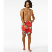 Boardshorty surfingowe męskie RIP CURL Aloha Hotel Volley czerwony - Adventure Sports
Boardshorty surfingowe męskie RIP CURL Aloha Hotel Volley czerwony - Adventure Sports