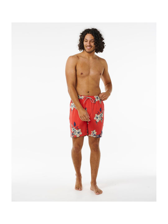 Boardshorty surfingowe męskie RIP CURL Aloha Hotel Volley czerwony - Adventure Sports
Boardshorty surfingowe męskie RIP CURL Aloha Hotel Volley czerwony - Adventure Sports