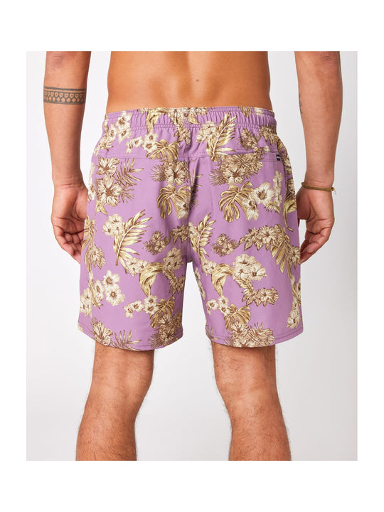 Boardshorty RIP CURL New Yargade Volley fioletowy - Adventure Sports
Boardshorty RIP CURL New Yargade Volley fioletowy - Adventure Sports