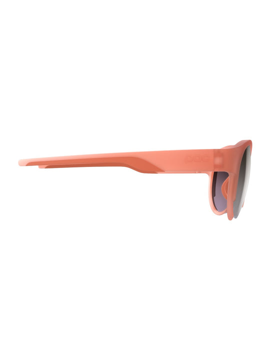 Okulary POC AVAIL czerwony - Clarity Trail | Brown/Silver Mirror Cat.2 - TU - Adventure Sports
Okulary POC AVAIL czerwony - Clarity Trail | Brown/Silver Mirror Cat.2 - TU - Adventure Sports