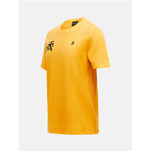 Koszulka PEAK PERFORMANCE Explore Graphic Tee Men pomarańczowy - Adventure Sports
