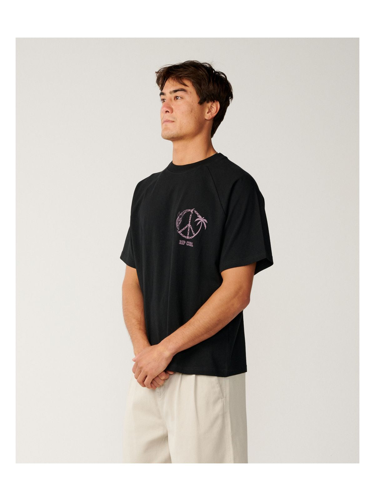 Koszulka męska RIP CURL Disorder Dolphin Tee czarna