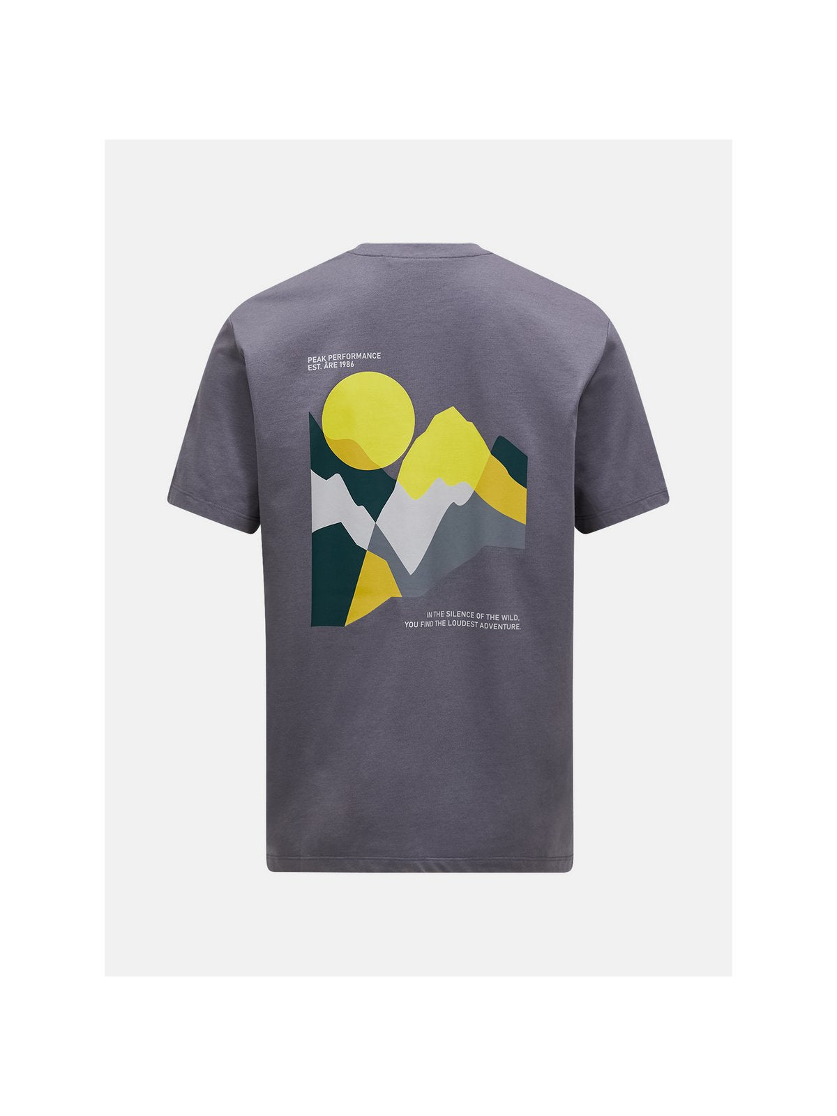adventuresports koszulka-peak-performance-m-explore-graphic-tee-g79744310-2aa tyl