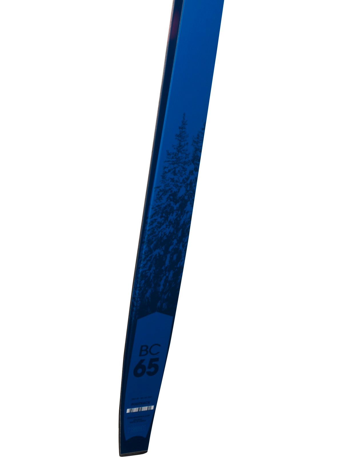 Narty backcountry ROSSIGNOL BC 65 Positrack - niebieskie