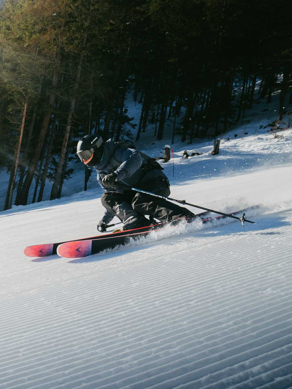 Narty Dynastar M-Cross 88 Open + wiązania LOOK SPX 13 GW B90 Petrol Blue