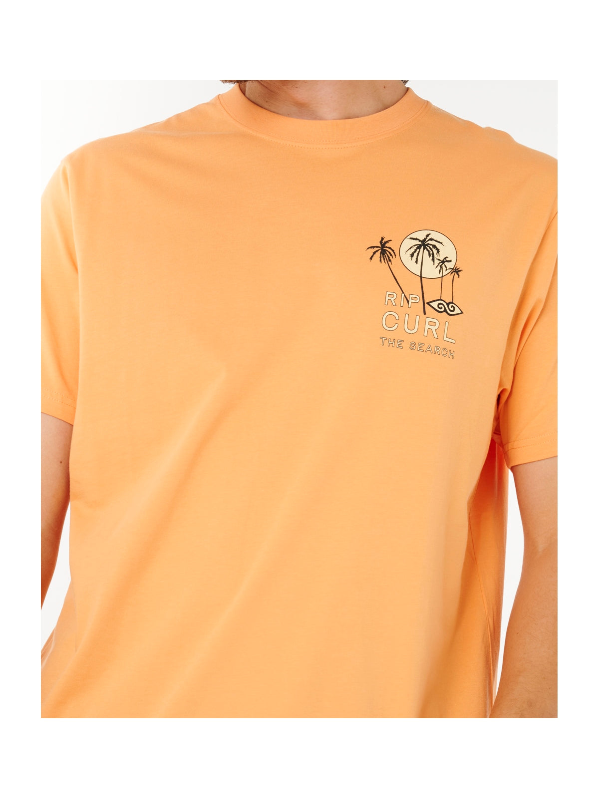 Koszulka męska RIP CURL Aots - Cody Welsh Palms Tee pomarańczowa