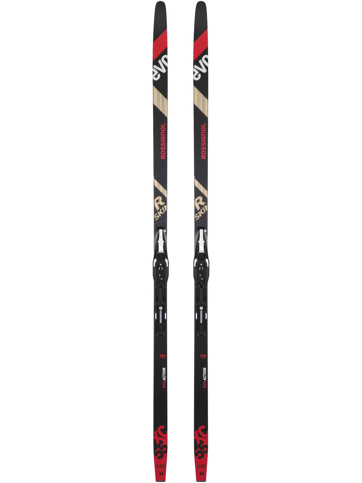 Narty biegowe Rossignol EVO XC 55 R-SKIN