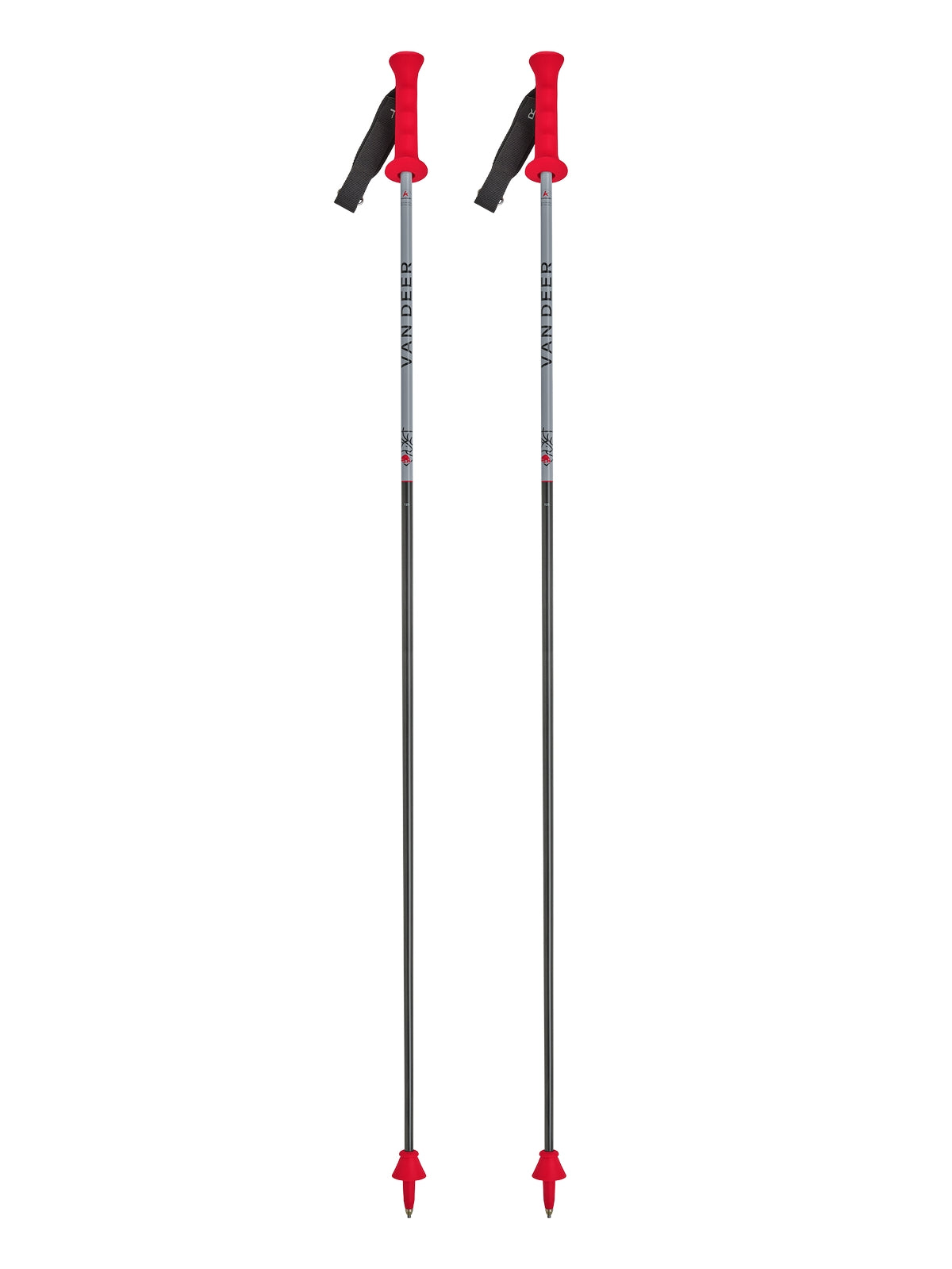 Kije narciarskie VAN DEER RACE GS CARBON kolor szary