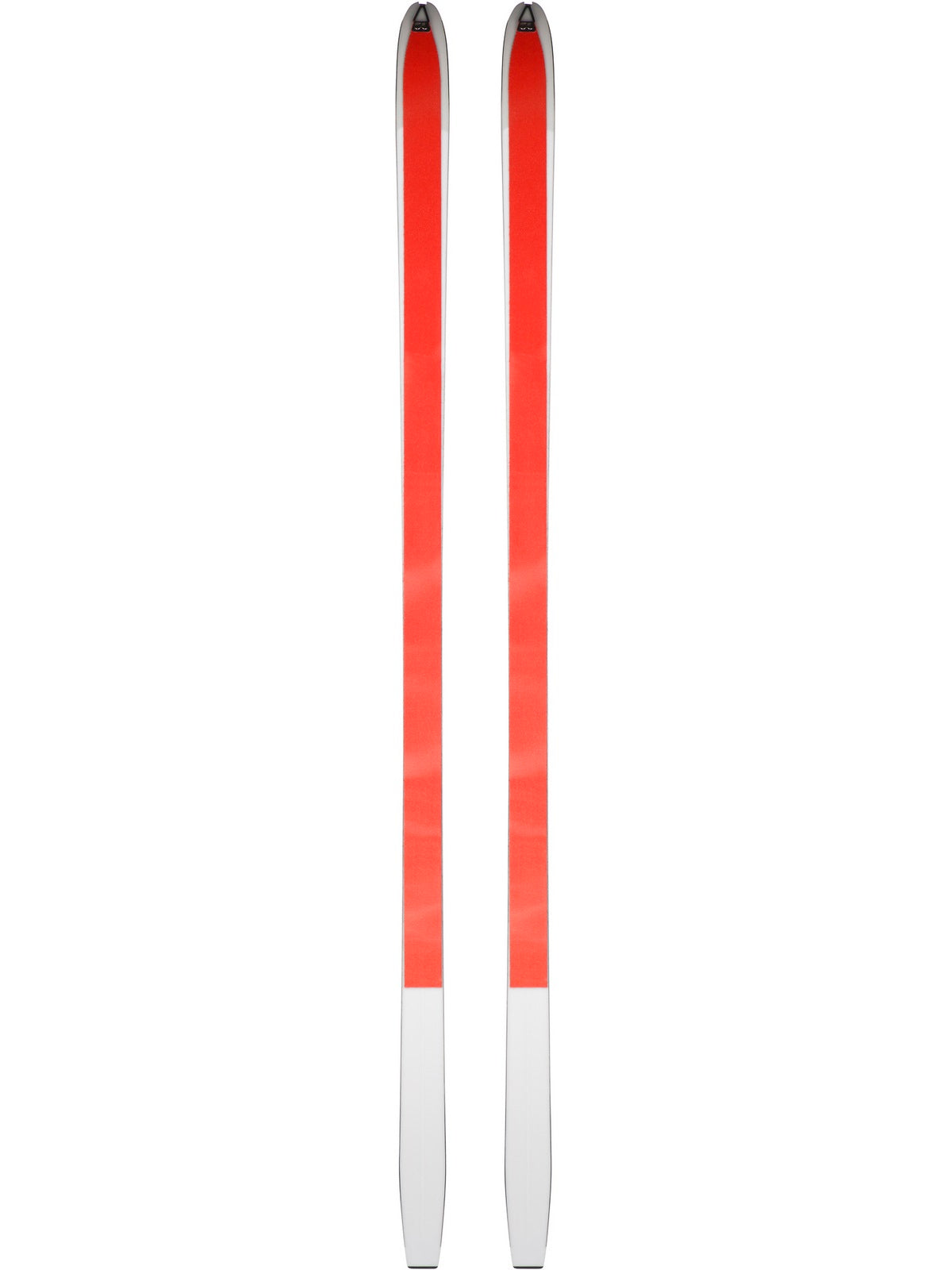Foki do nart ROSSIGNOL BC 80 (55x1400)