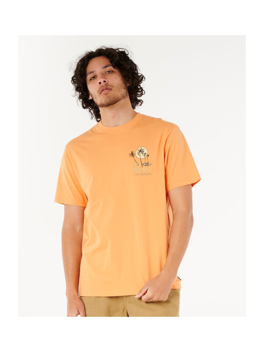 Koszulka męska RIP CURL Aots - Cody Welsh Palms Tee pomarańczowa
