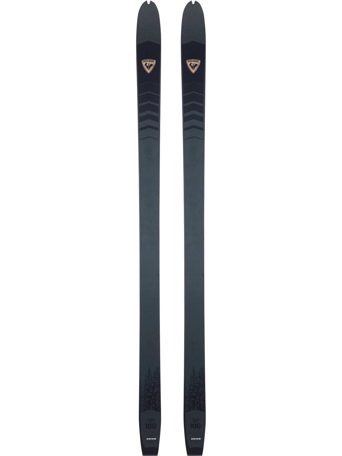 Narty backcountry ROSSIGNOL XP 100 Positrack - szare
