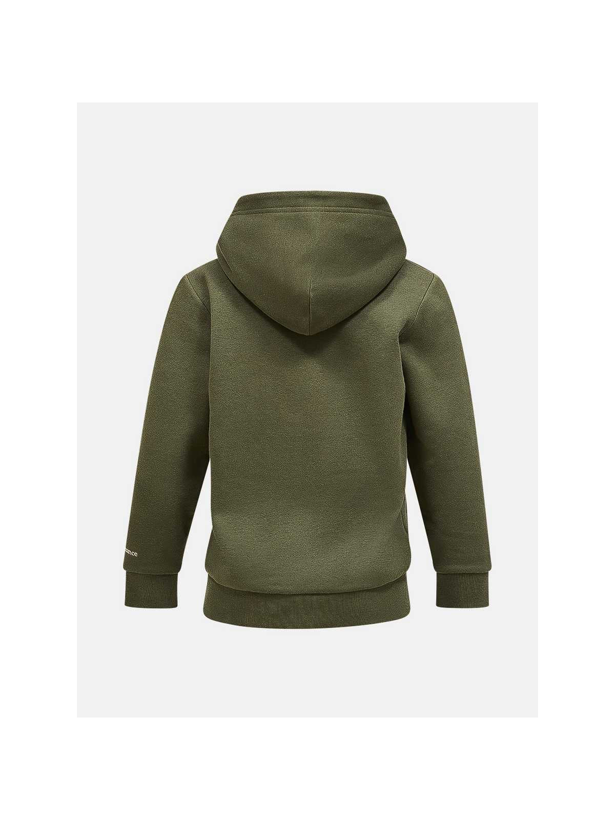 Bluza PEAK PERFORMANCE FWT Jr Hood zielony