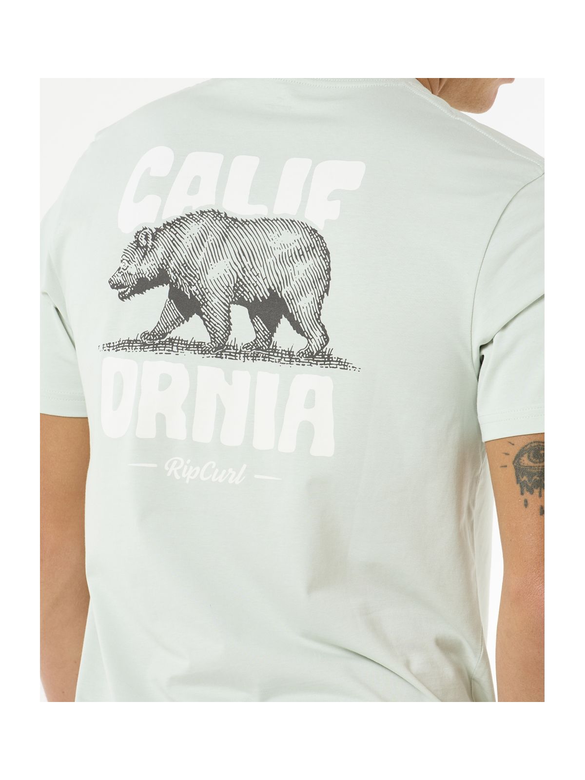 Koszulka RIP CURL Desti Animals Tee zielony