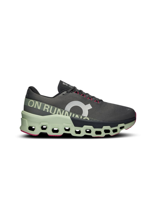 Buty do biegania męskie ON RUNNING Cloudmonster 2 szary
