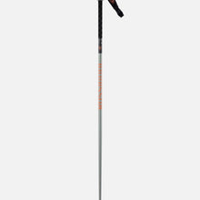 Kije narciarskie ROSSIGNOL Freeride Pro Safety W - szary
