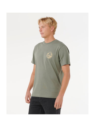 Kolor: Cactus Green