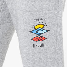 Spodnie RIP CURL Search Icon Trackpant szary - Adventure Sports
