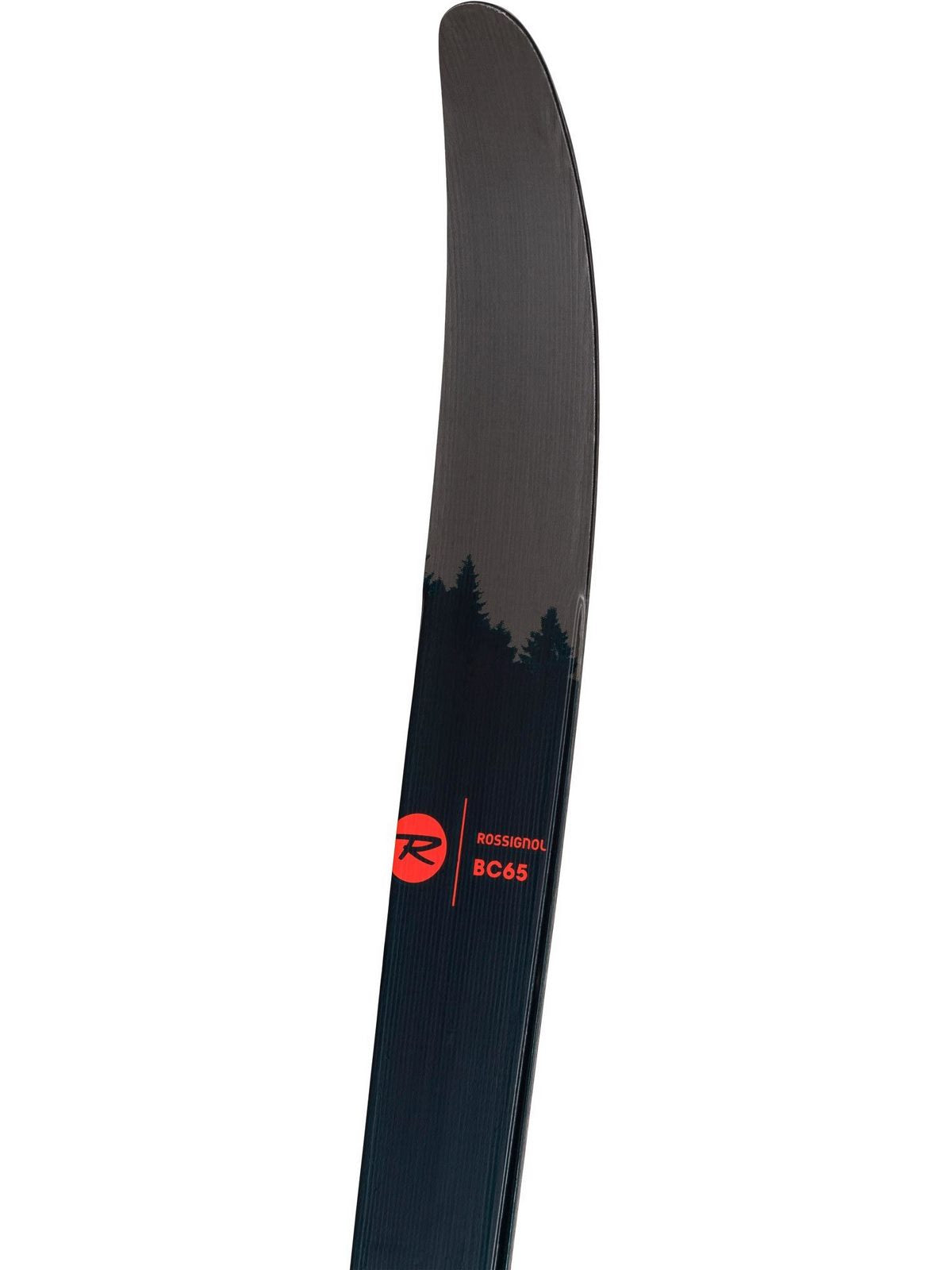 Narty biegowe ROSSIGNOL BC 65 POSITRACK - Adventure Sports